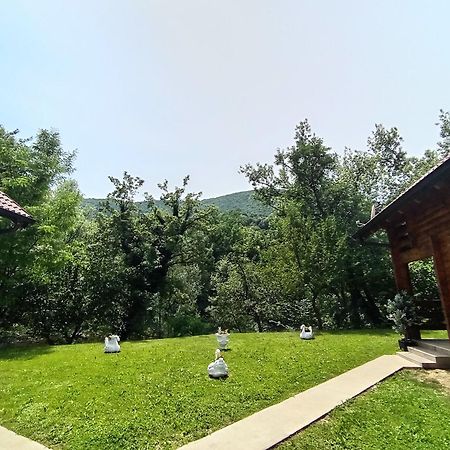 Apartmani Kajkut Banja Luka Exteriér fotografie