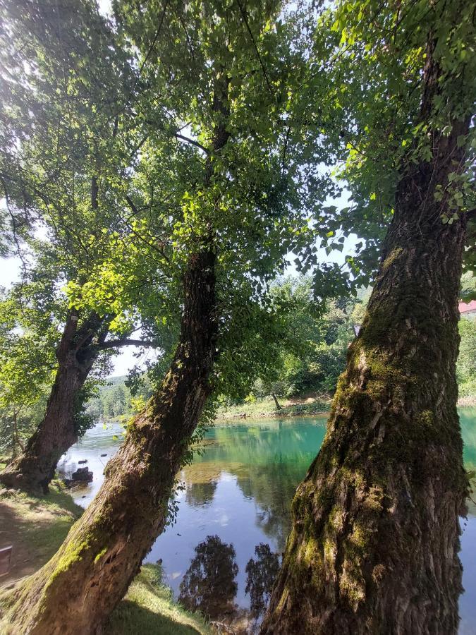 Apartmani Kajkut Banja Luka Exteriér fotografie